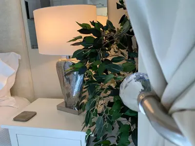 a plant sitting on a table next to a lamp at Winckley Square Residences in Preston