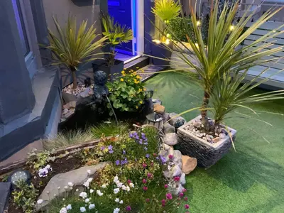 a garden with potted plants and other plants at The Glenroy Guest House in Blackpool