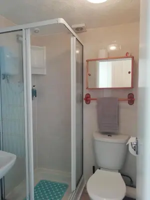 a bathroom with a shower and a toilet and a sink at Shirley Heights Hotel in Blackpool