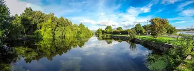 a view of a river with trees on the side at Saltcotes Farm in Ulverston