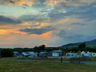 a group of camels parked in a field at sunset at Vault 21 in Millom