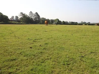 two horses grazing in a field of green grass at The Proven House in Preston