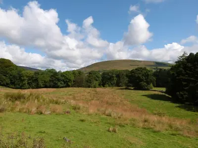 a field with trees and a hill in the distance at ViewLangho in Blackburn