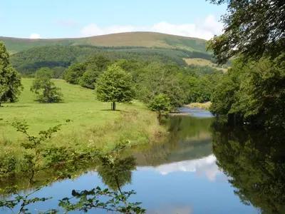 a river in the middle of a field with trees at ViewLangho in Blackburn
