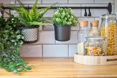 a shelf with plants and jars on a table at Malleus House in Barrow in Furness