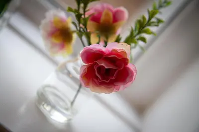 a vase filled with pink flowers on a table at Charles Alexander Short Stay - Charnley House Apartments in Blackpool