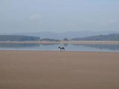 a person riding a horse on a beach next to a lake at Shore Cottage in Silverdale