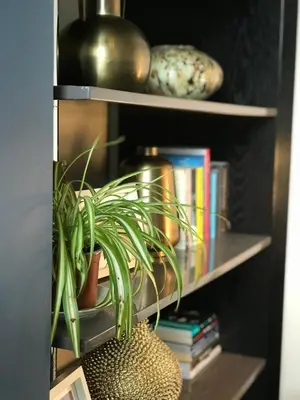 a book shelf with a potted plant on it at 3 Bedroom House Close to M6 & M55 in Preston