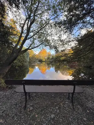 a bench sitting in front of a river with trees at Little Wren Cartmel Couples Retreat in Cartmel