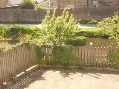 a wooden fence with a tree in a garden at The Staithe by the Canal. in Lancaster