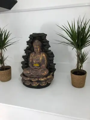 a statue sitting on a shelf with two plants at 4 bed city centre flat in Liverpool