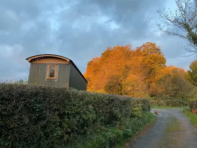 a small building sitting on the side of a road at Woody's Retreat in Bolton by Bowland