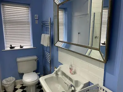 a bathroom with a toilet and a sink and a mirror at Number 19 - Victorian Town House in Clitheroe