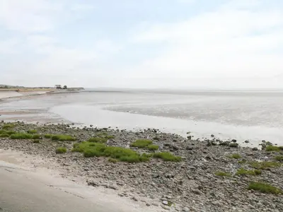 an empty beach with grass on the shore at White Stones in Ulverston