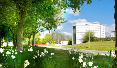 a field of flowers in front of a building at Lancaster University in Lancaster
