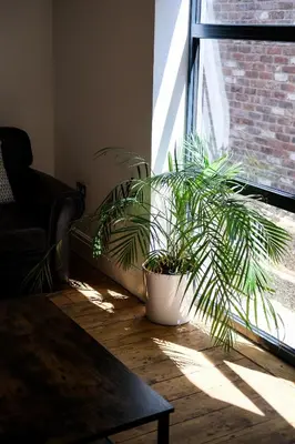 a potted plant sitting on the floor next to a window at The Eden Warehouse - Pink Apartment (sleeps 4) in Southport