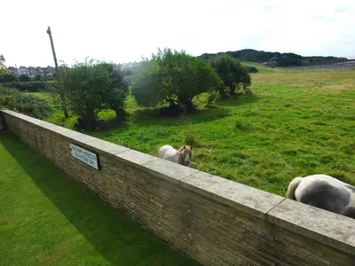 a group of horses looking over a stone wall at 2 Bedroom Annexe in Morecambe