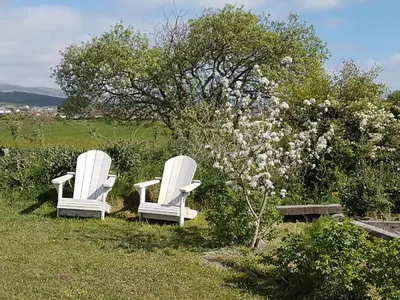 two white chairs sitting in the grass next to a tree at Herdwicks in Millom