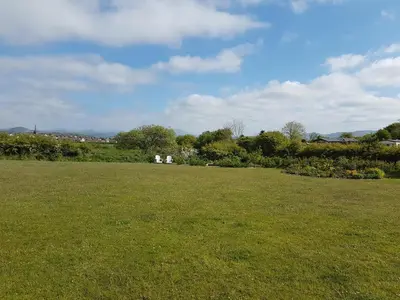 a field of grass with trees in the background at Herdwicks in Millom