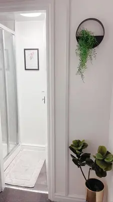 a hallway with a potted plant next to a door at Ivy Chic Apartments by CityNest in Blackpool