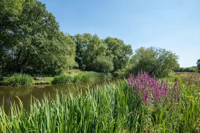 a field of grass and flowers next to a pond at Abbey Farm House Ormskirk in Ormskirk