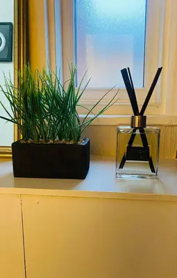 two potted plants sitting on top of a counter with a window at 1 bedroom spacious apartment in Lytham St Annes