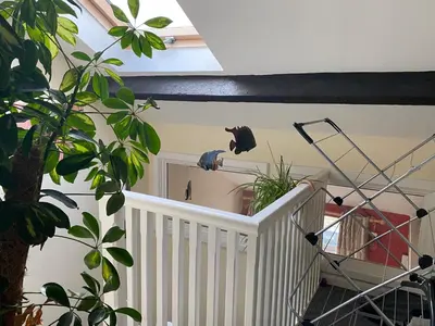 a room with a staircase with a cat on the wall at Arnside sea view in Arnside