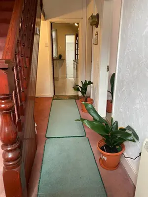 a hallway with green rugs on the floor with plants at CHARLES INN in Liverpool