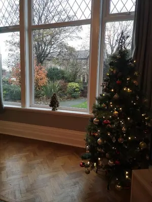 a christmas tree in a room with a window at 34 One in Lytham St Annes