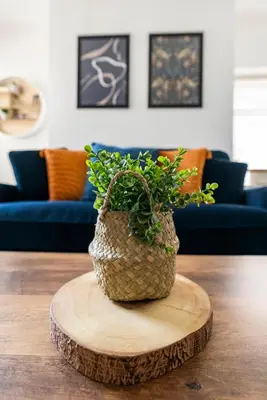 a potted plant sitting on a table in a living room at The Nest at The Hideaway STAMP SA in Blackpool