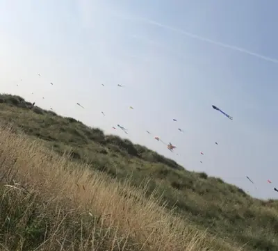 a flock of birds flying over a grassy hill at Beach Front Apartment with Free Parking, St Annes in Lytham St Annes