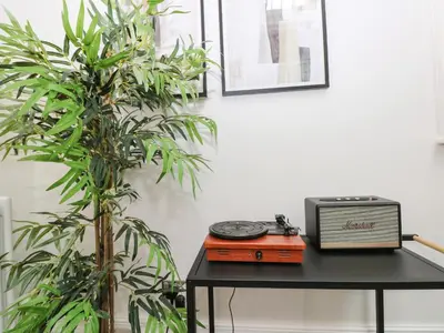 a table with a radio on it next to two plants at The Kennedy House Stone Cross Mansion in Ulverston