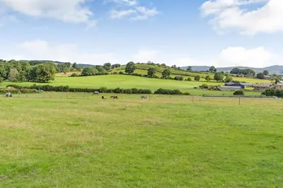 a field of green grass with horses in the distance at Ingleborough View in Carnforth