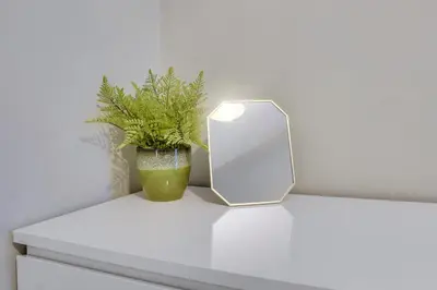 a mirror and a potted plant on a white shelf at Birkenhead - 2 bedroom house in Birkenhead
