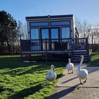 Lake District Willerby Vogue Lodge