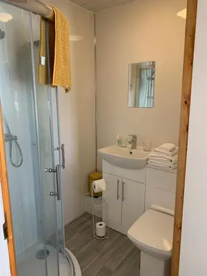 a bathroom with a toilet and a sink and a shower at Heather Glen. Six bedroom home near the sea. in Blackpool