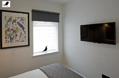 a bedroom with a window with a bird sitting in the window at Blackbird Accommodation and Luxury Apartments room 14 in Blackpool