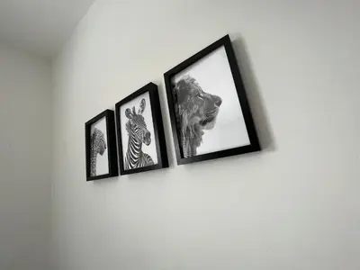 four framed pictures of animals on a wall at Sunnyside Aparthotel Safari suite, Free Parking, 10Min Walk To Blackpool tower in Blackpool