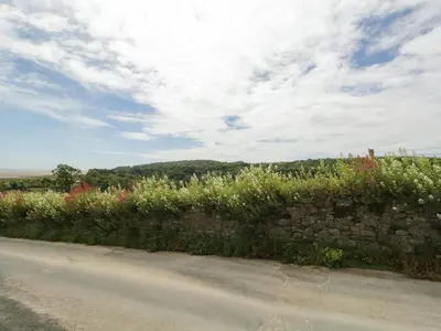 a field of flowers next to a stone wall at Sandacre Cottage in Ulverston