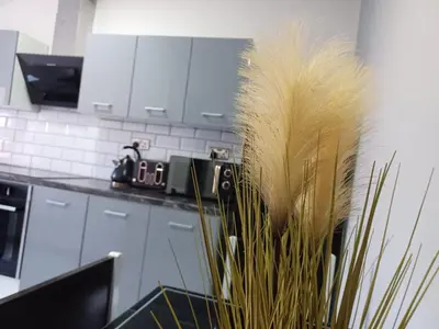 a vase with a plant in a kitchen at Black Pearl Luxury Apartments in Blackpool