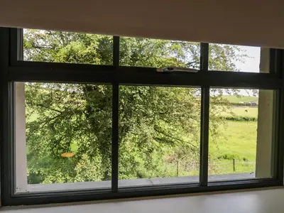 a window with a view of a tree at Bank Hurst Coach House in Ulverston