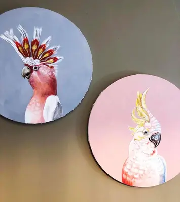 two plates with paintings of a cockatoos on a wall at Church Mouse Cottage Clitheroe in Clitheroe