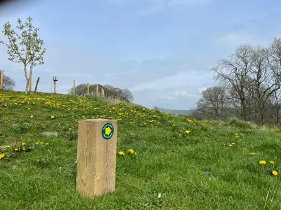 a sign in the middle of a field of flowers at Greenbank Farm House in Cartmel