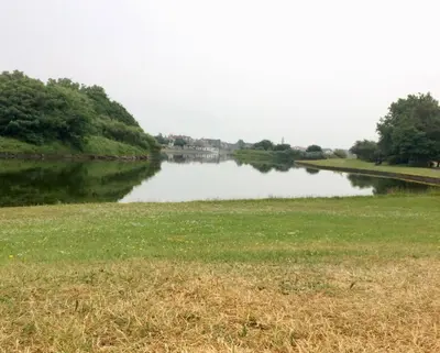 a view of a river with trees and a grass field at Ashton Mews apartment with free parking in Saint Annes on the Sea