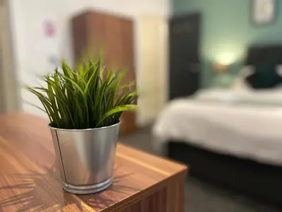 a potted plant sitting on a wooden table in a bedroom at Modern 3 bedroom apartment close to the city centre in Liverpool