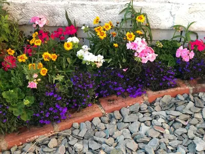 a bunch of flowers in a flower box at Sunsets, Sandylands Prom Morecambe in Morecambe