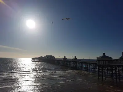 a bird flying over a pier next to the water at Gabrielles in Blackpool