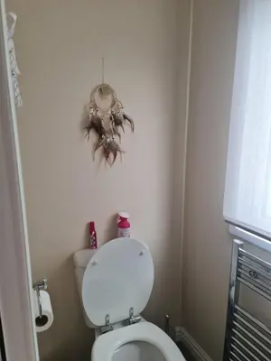 a bathroom with a toilet with a spider on the wall at Nicks and Carmels by the Lake in Carnforth