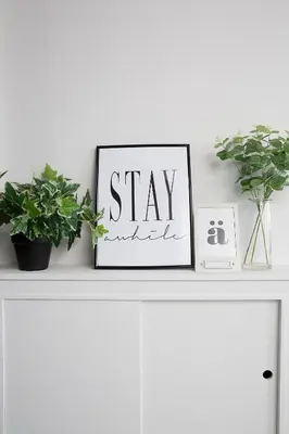 a white shelf with a picture and plants on it at Beautiful first floor apartment in Poulton le Fylde