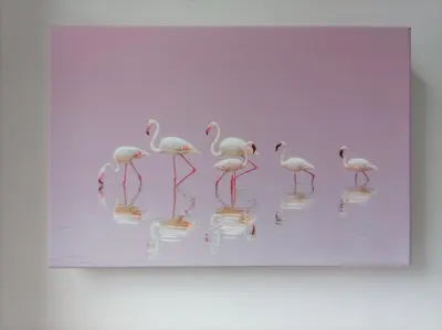 a group of flamingos standing in the water at Victorian Renovation Room 3 in Liverpool